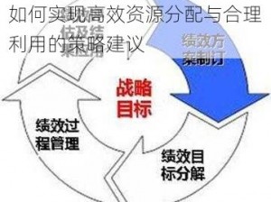 鸿图之下玺印策略运用解析：如何实现高效资源分配与合理利用的策略建议