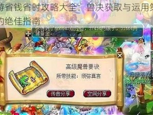 梦幻西游省钱省时攻略大全：兽决获取与运用策略，平民玩家的绝佳指南