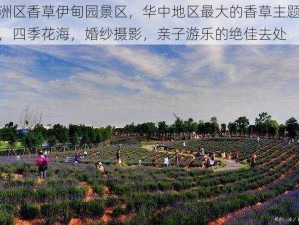 新洲区香草伊甸园景区，华中地区最大的香草主题公园，四季花海，婚纱摄影，亲子游乐的绝佳去处