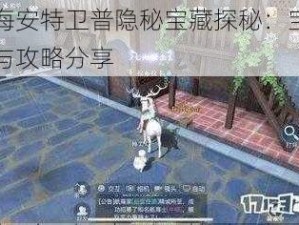 黎明之海安特卫普隐秘宝藏探秘：宝藏位置大揭秘与攻略分享