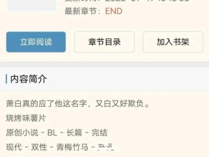 双男主 1v3 上岸：多款产品，总有一款适合你