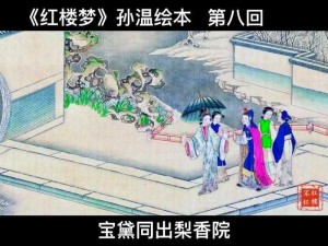 日版红楼梦 110：豪华限定版，带你领略不一样的红楼风情