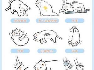 全民救猫行动：猫咪安装救助设施与配置指南详解