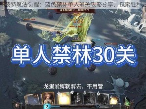 哈利波特魔法觉醒：蓝色禁林单人通关攻略分享，探索胜利之路