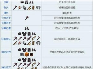 我的世界：附魔书使用指南——解锁装备新力量的秘籍