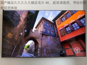 国产精品久久久久久精品毛片 4K，超高清画质，带给你极致视觉体验