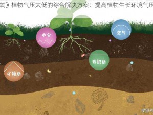 关于《缺氧》植物气压太低的综合解决方案：提高植物生长环境气压的策略与实践