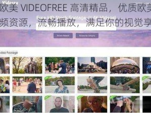 性欧美 VIDEOFREE 高清精品，优质欧美视频资源，流畅播放，满足你的视觉享受