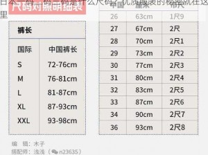 日本一码二码三码是什么尺码？优质服装的秘密就在这里