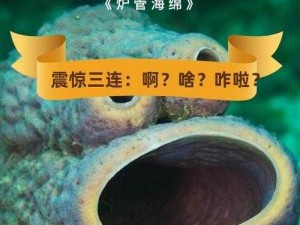 震惊人是怎么配的种？