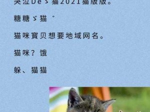 猫咪 www 最新地域网名怎么取？优质、个性、创意的猫咪地域网名都在这里