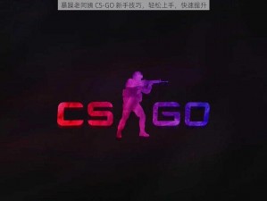 暴躁老阿姨 CS-GO 新手技巧，轻松上手，快速提升