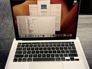 1213 岁 macbook 日本或将被封禁，这是要失传了吗？