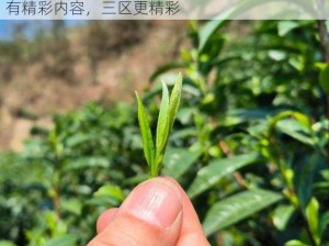 嫩叶草一区二区三区的区别：一区二区三区都有精彩内容，三区更精彩