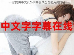 一款提供中文乱码字幕视频观看的免费网站