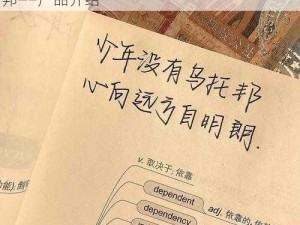 共享伴侣系列小诗：用文字编织的情感乌托邦——产品介绍