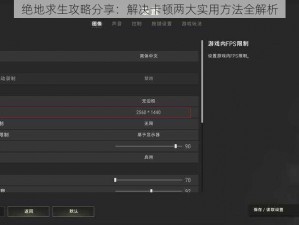 绝地求生攻略分享：解决卡顿两大实用方法全解析