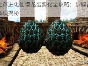 方舟生存进化仙境龙蛋孵化全攻略：步骤详解与注意事项揭秘