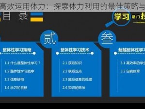 如何高效运用体力：探索体力利用的最佳策略与途径