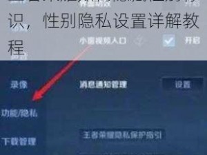王者荣耀如何隐藏性别标识，性别隐私设置详解教程