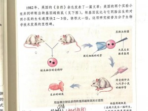 闵儿老师生物课 19 教学视频：带你探秘生命奥秘