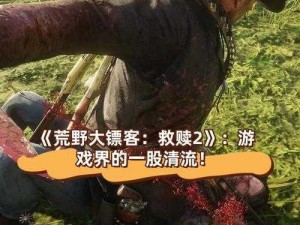 荒野大镖客 2 绅士 mod 整合介绍：丰富游戏体验的必备工具