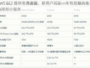 AWS EC2 提供免费套餐，新用户可在一年有效期内免费使用部分服务