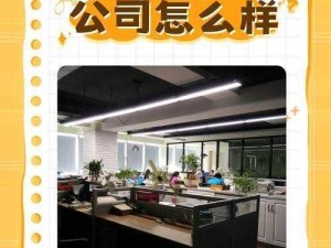 嫩草影视文化传媒科技公司，打造全新视觉盛宴