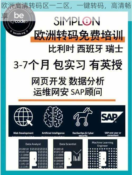 欧洲高清转码区一二区，一键转码，高清畅享