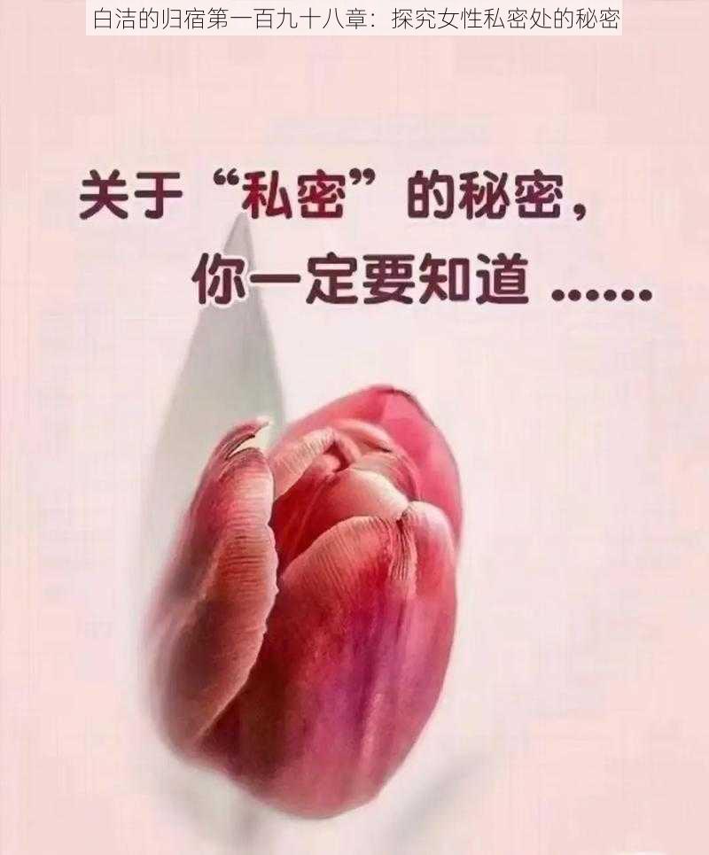 白洁的归宿第一百九十八章：探究女性私密处的秘密