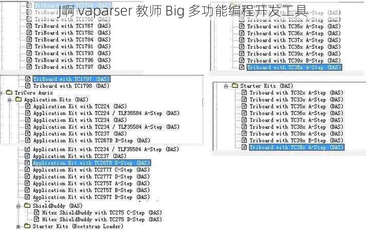 J啊 vaparser 教师 Big 多功能编程开发工具