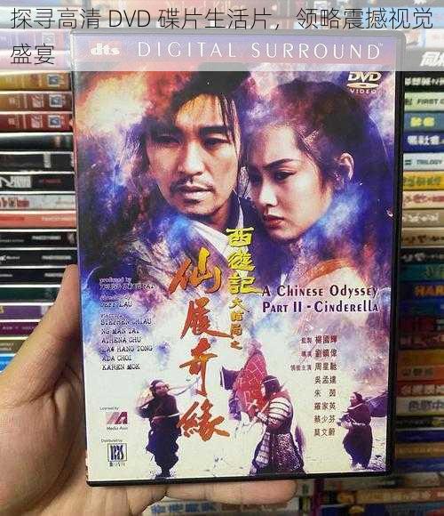 探寻高清 DVD 碟片生活片，领略震撼视觉盛宴