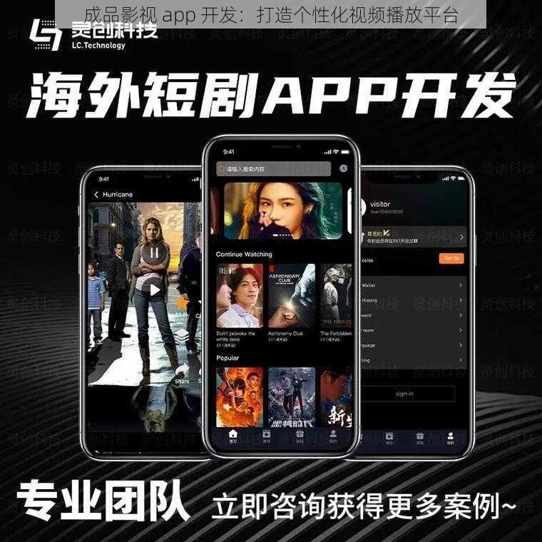 成品影视 app 开发：打造个性化视频播放平台