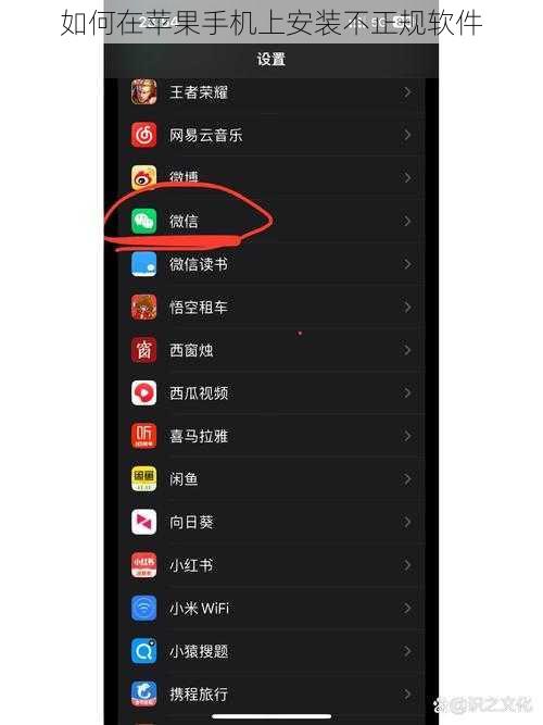 如何在苹果手机上安装不正规软件