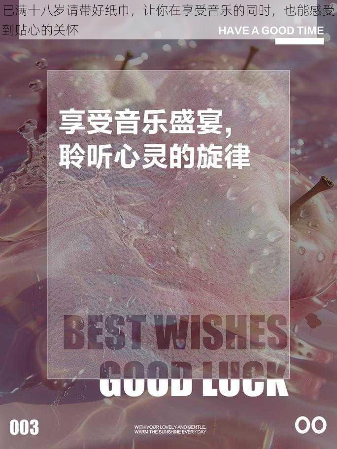 已满十八岁请带好纸巾，让你在享受音乐的同时，也能感受到贴心的关怀