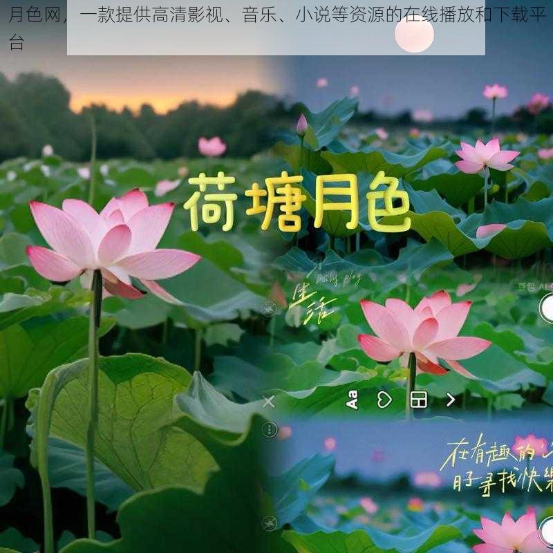 月色网，一款提供高清影视、音乐、小说等资源的在线播放和下载平台