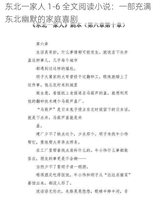 东北一家人 1-6 全文阅读小说：一部充满东北幽默的家庭喜剧