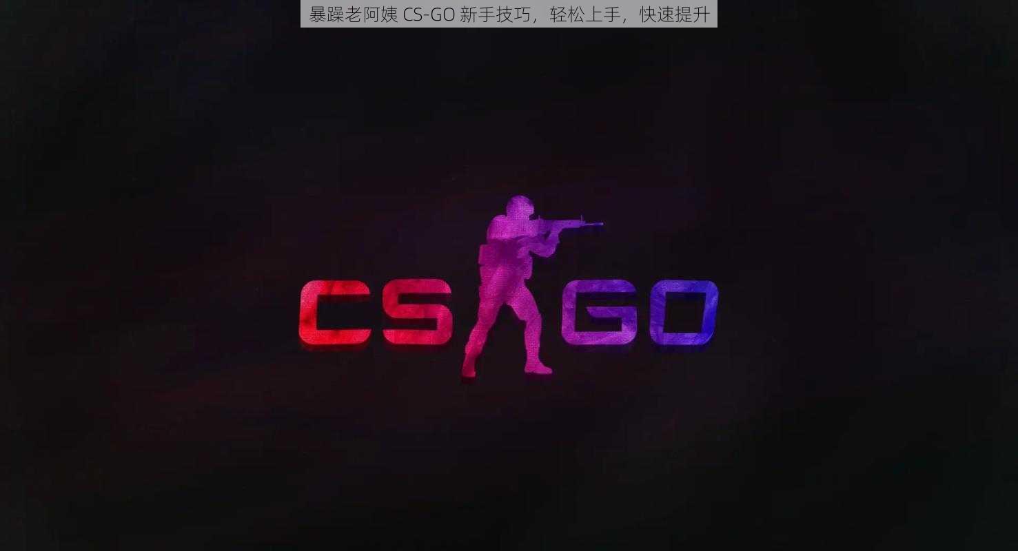 暴躁老阿姨 CS-GO 新手技巧，轻松上手，快速提升