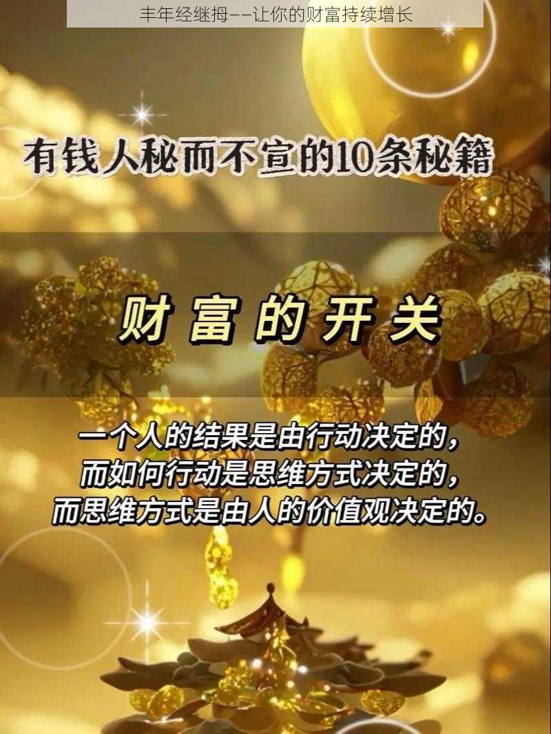 丰年经继拇——让你的财富持续增长