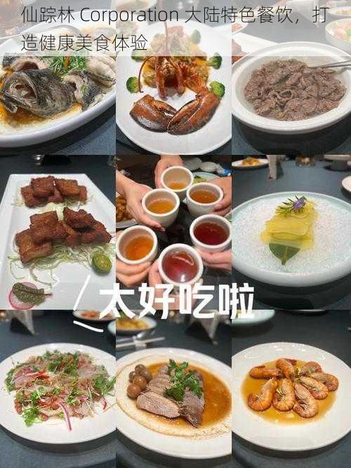 仙踪林 Corporation 大陆特色餐饮，打造健康美食体验