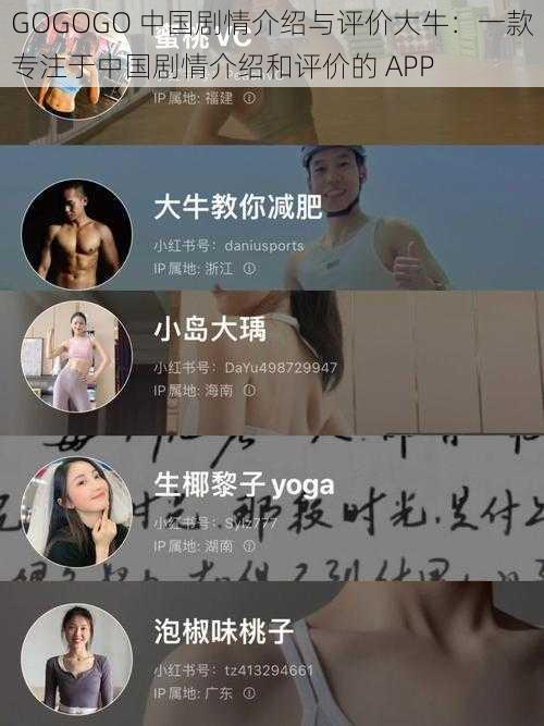 GOGOGO 中国剧情介绍与评价大牛：一款专注于中国剧情介绍和评价的 APP