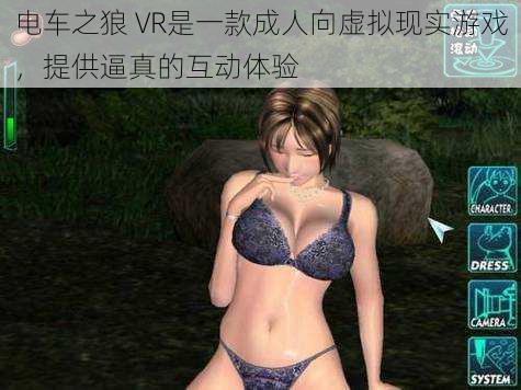 电车之狼 VR是一款成人向虚拟现实游戏，提供逼真的互动体验