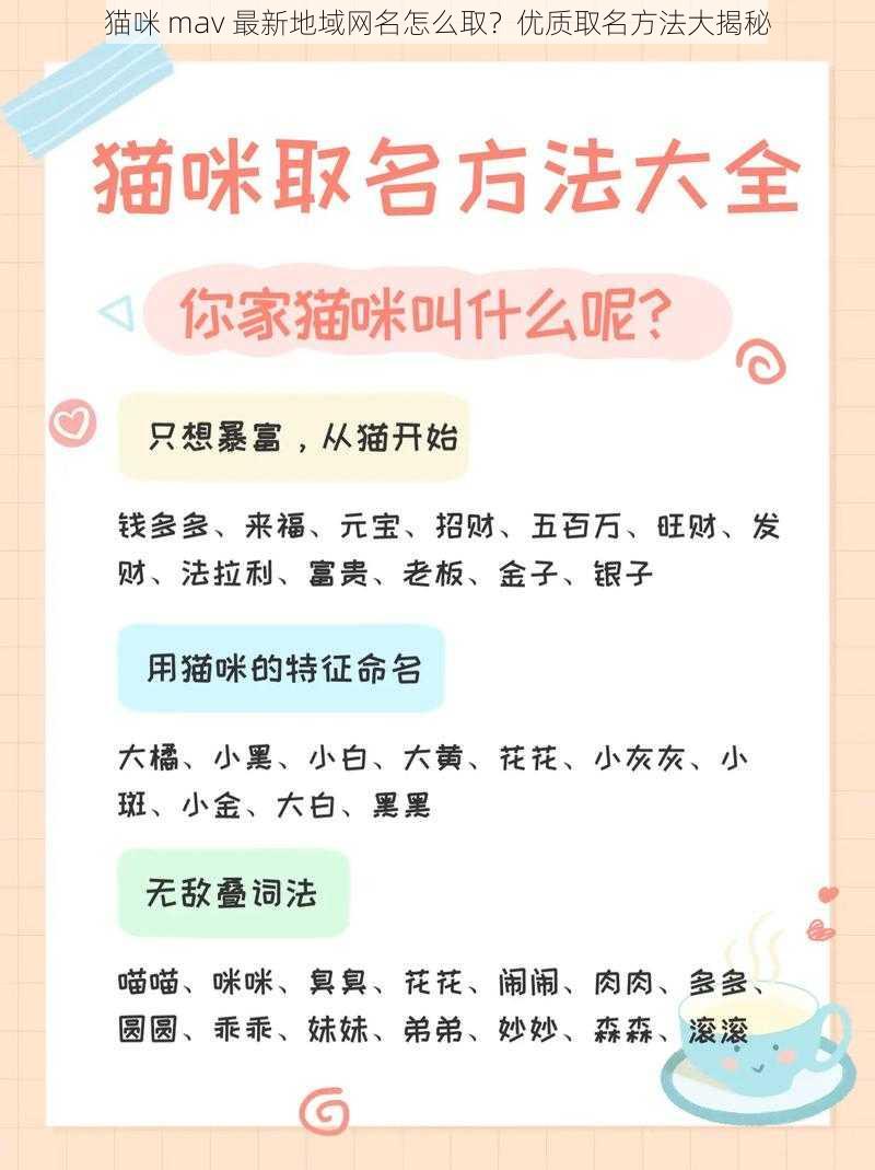 猫咪 mav 最新地域网名怎么取？优质取名方法大揭秘