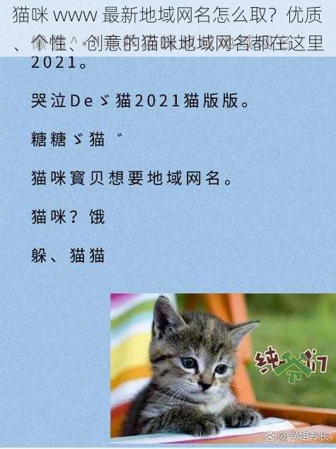 猫咪 www 最新地域网名怎么取？优质、个性、创意的猫咪地域网名都在这里