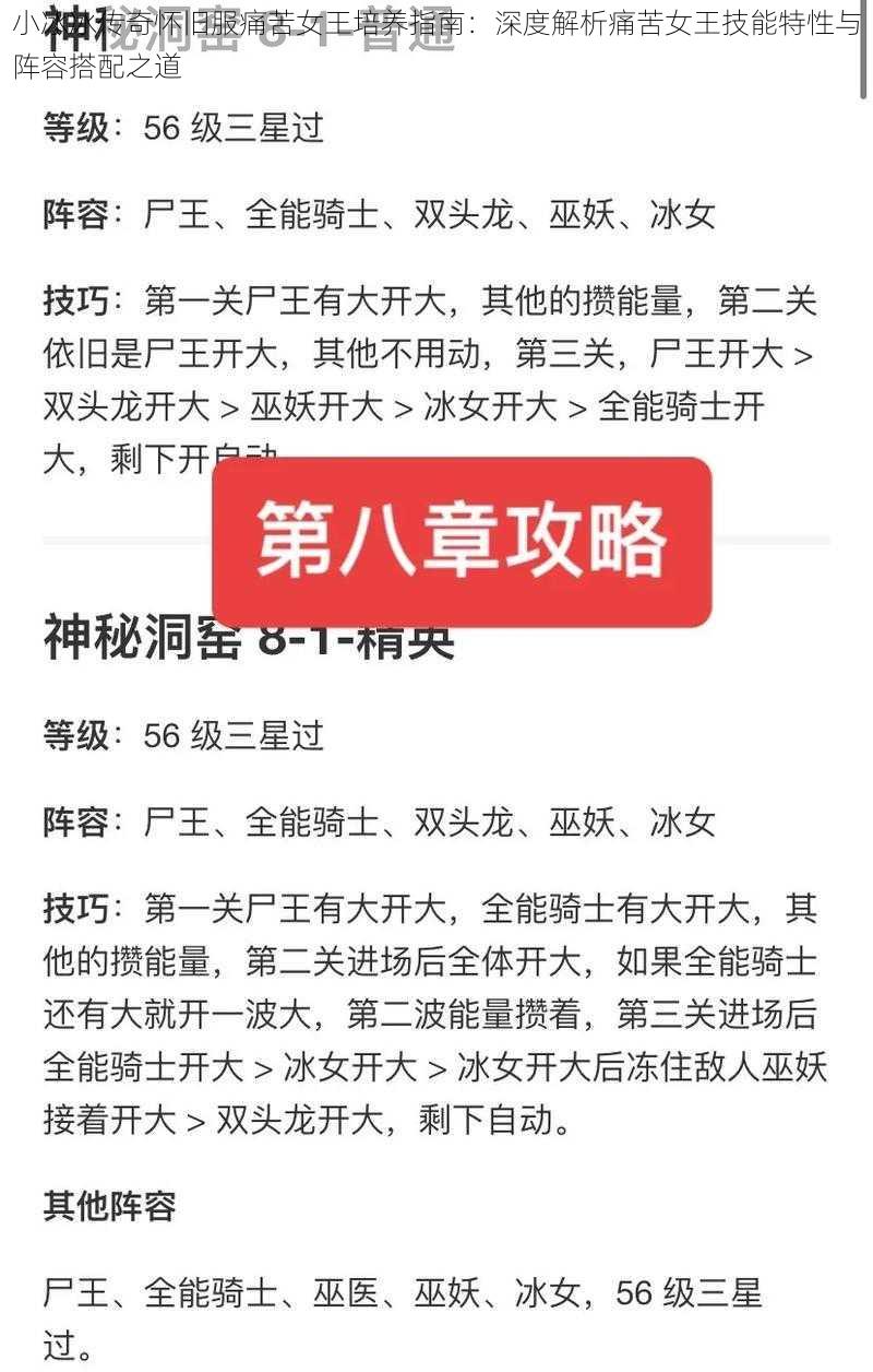 小冰冰传奇怀旧服痛苦女王培养指南：深度解析痛苦女王技能特性与阵容搭配之道