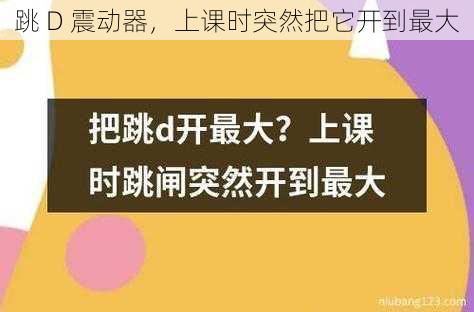 跳 D 震动器，上课时突然把它开到最大