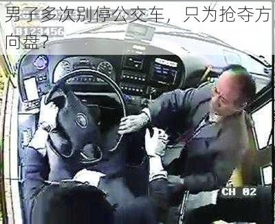 男子多次别停公交车，只为抢夺方向盘？