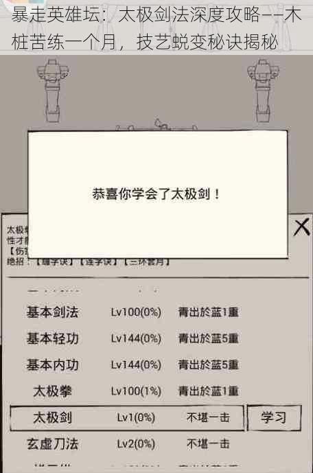 暴走英雄坛：太极剑法深度攻略——木桩苦练一个月，技艺蜕变秘诀揭秘