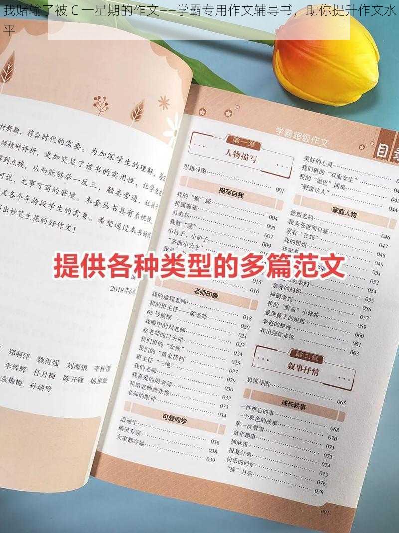 我赌输了被 C 一星期的作文——学霸专用作文辅导书，助你提升作文水平