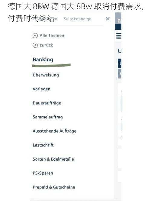 德国大 8BW 德国大 8Bw 取消付费需求，付费时代终结